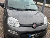 Usata Fiat Panda City Life 69 CV (50 kW) 2021 Other Utilitaria