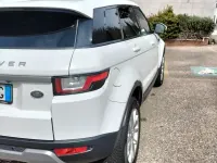Usata Land Rover Range Rover evoque 150 CV (110 kW) 2018 Bianco SUV