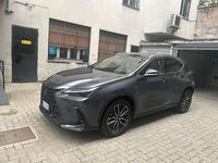 Usata Lexus NX350h 197 CV (144 kW) 2022 Grigio SUV