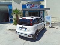 Usata Fiat Panda Cross Cross 69 CV (50 kW) 2024 Bianco Utilitaria