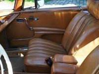 Usata Mercedes 280 SE 200 CV (147 kW) 1970 Verde Coupé