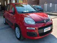 Usata Fiat Panda Easy 95 CV (69 kW) 2016 Rosso Utilitaria