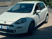 Usata Fiat Punto Lounge 75 CV (55 kW) 2015 Bianco Utilitaria