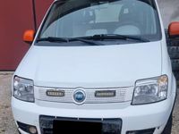 Usata Fiat Panda 4x4 69 CV (50 kW) 2006 Bianco Utilitaria