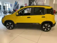 Usata Fiat Panda Cross Cross 69 CV (50 kW) 2025 Giallo Utilitaria