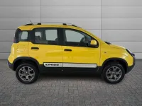 Usata Fiat Panda Cross Cross 90 CV (66 kW) 2019 Giallo Utilitaria