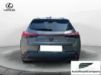 Usata Lexus UX Luxury Line 183 CV (134 kW) 2019 Grigio SUV