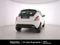 Usata Lancia Ypsilon 69 CV (50 kW) 2024 Bianco Utilitaria