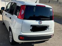 Usata Fiat Panda 70 CV (51 kW) 2021 Bianco Berlina