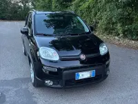 Usata Fiat Panda City Life 69 CV (50 kW) 2023 Utilitaria