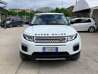 Usata Land Rover Range Rover evoque SE 150 CV (110 kW) 2015 Bianco SUV