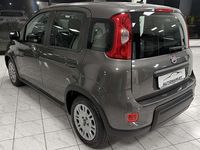 Usata Fiat Panda S 69 CV (50 kW) 2023 Grigio Utilitaria
