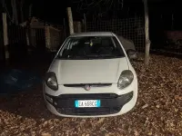 Usata Fiat Punto Evo 77 CV (56 kW) 2009 Bianco Utilitaria