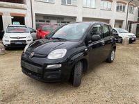Usata Fiat Panda Easy 69 CV (50 kW) 2019 Nero Utilitaria
