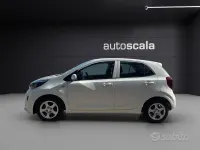 Usata Kia Picanto Active 67 CV (49 kW) 2019 Bianco Utilitaria