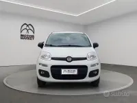 Usata Fiat Panda 4x4 Pop 86 CV (63 kW) 2020 Bianco Utilitaria