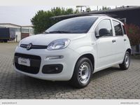 Usata Fiat Panda Pop 70 CV (51 kW) 2021 Bianco Utilitaria