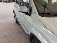 Usata Fiat Panda Cross Cross 67 CV (49 kW) 2020 Blu/azzurro Utilitaria