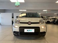 usata Fiat Panda 1.0 FireFly 70cv S&S Hybrid City Life