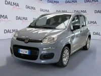 Usata Fiat Panda Pop 69 CV (50 kW) 2018 Grigio Utilitaria