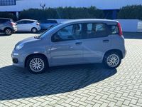 Usata Fiat Panda 69 CV (50 kW) 2021 Grigio Utilitaria