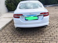 Usata Jaguar XF 2010 Bianco Berlina