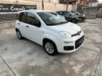 Usata Fiat Panda Lounge 69 CV (50 kW) 2017 Bianco Utilitaria