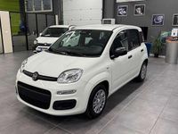 Nuova Fiat Panda S 69 CV (50 kW) 2025 Bianco Utilitaria