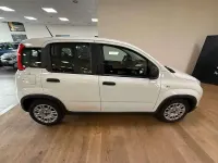 Usata Fiat Panda Sport 69 CV (50 kW) 2022 Other Utilitaria