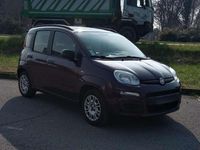 Usata Fiat Panda Easy 69 CV (50 kW) 2012 Viola Utilitaria