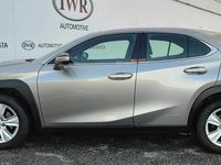 Usata Lexus UX 250h Executive Line 152 CV (111 kW) 2019 Marrone SUV