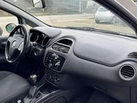 Usata Fiat Punto Lounge 75 CV (55 kW) 2014 Utilitaria