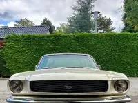 Usata Ford Mustang 228 CV (167 kW) 1966 Beige Coupé