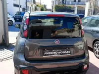 Usata Fiat Panda Cross Cross 69 CV (50 kW) 2019 Grigio Utilitaria