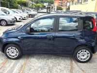 Usata Fiat Panda 69 CV (50 kW) 2020 Bluazzurro Utilitaria