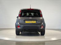 Usata Fiat Panda Sport 69 CV (50 kW) 2020 Grigio Utilitaria