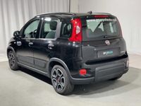 usata Fiat Panda Cross 1.0 FireFly S&S Hybrid City del 2022 usata a Caspoggio