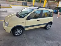 Usata Fiat Panda 4x4 Climbing 60 CV (44 kW) 2005 Giallo Utilitaria
