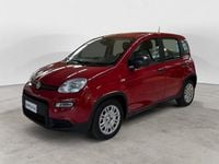 Usata Fiat Panda S 69 CV (50 kW) 2024 Rosso Utilitaria