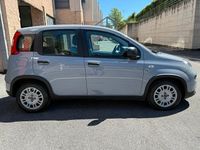 Usata Fiat Panda S 69 CV (50 kW) 2022 Grigio Utilitaria