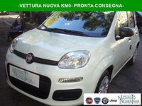 Nuova Fiat Panda Icon 69 CV (50 kW) 2025 Bianco Utilitaria