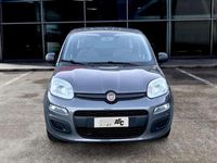 Usata Fiat Panda 70 CV (51 kW) 2021 Grigio Utilitaria