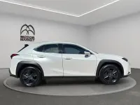 Usado Lexus UX 250h Business Edition 184 CV (135 kW) 2022 Blanco SUV