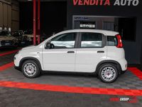 Usata Fiat Panda S 70 CV (51 kW) 2023 Bianco Utilitaria