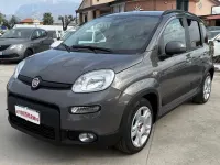 Usata Fiat Panda City Life 69 CV (50 kW) 2023 Grigio Utilitaria