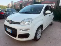 Usata Fiat Panda Lounge 69 CV (50 kW) 2016 Bianco Utilitaria