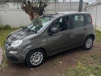 Usata Fiat Panda S 70 CV (51 kW) 2021 Grigio Utilitaria