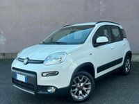 Usata Fiat Panda 4x4 S 95 CV (69 kW) 2017 Bianco Utilitaria