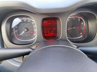 Usata Fiat Panda S 69 CV (50 kW) 2024 Bianco Utilitaria