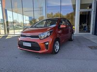 Usata Kia Picanto Urban 67 CV (49 kW) 2023 Rosso Utilitaria